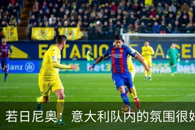 若日尼奥：意大利队内的氛围很好